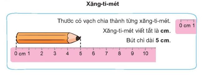 Cho trẻ xem một chiếc thước kẻ dùng để đo độ dài của đồ vật