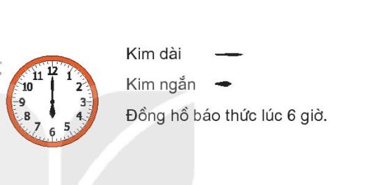 Để bé biết cách xem giờ đúng, trước hết phụ huynh cần giới thiệu cho con về chiếc đồng hồ