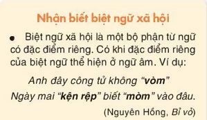 Ví dụ minh họa về biệt ngữ xã hội