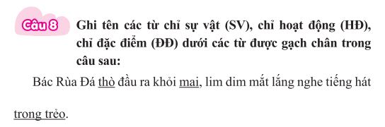 Các dạng bài tập Tiếng Việt lớp 3 kì 2 thường gặp nhất trong đề thi