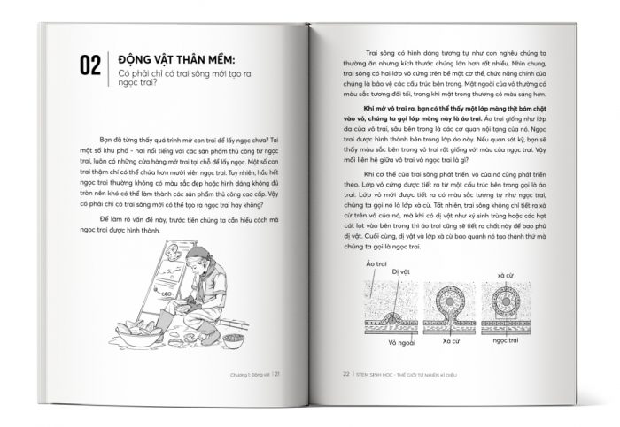 Ảnh đọc thử nội dung cuốn sách STEM Sinh học