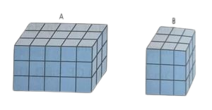 Hình minh họa bài 2 - Phần II - Đề thi số 2