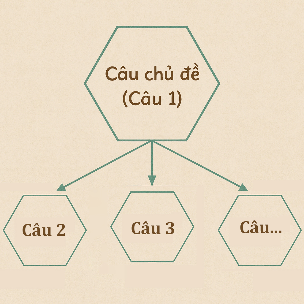 Cấu trúc của đoạn văn diễn dịch