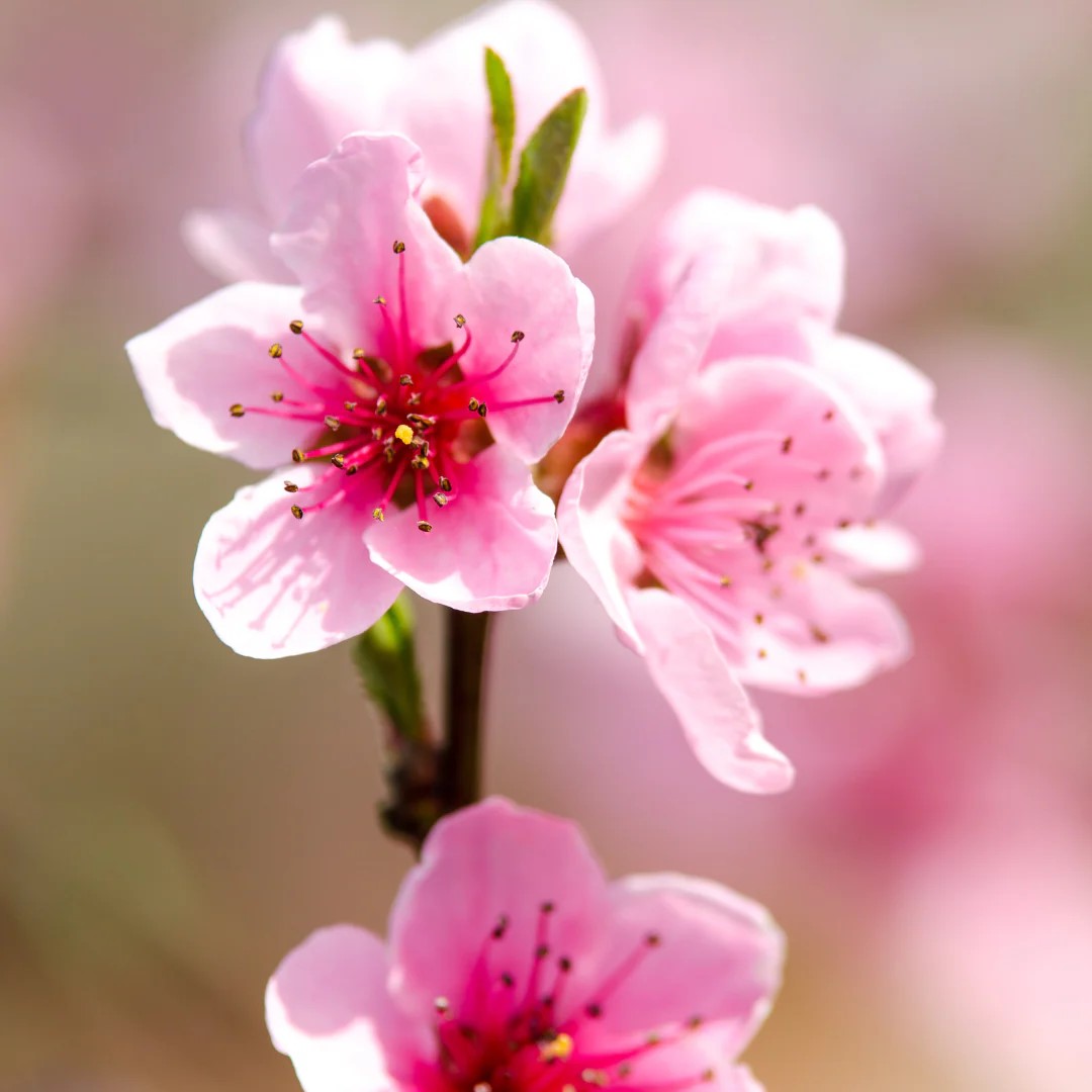 Ảnh 5 - Bài tập số 2