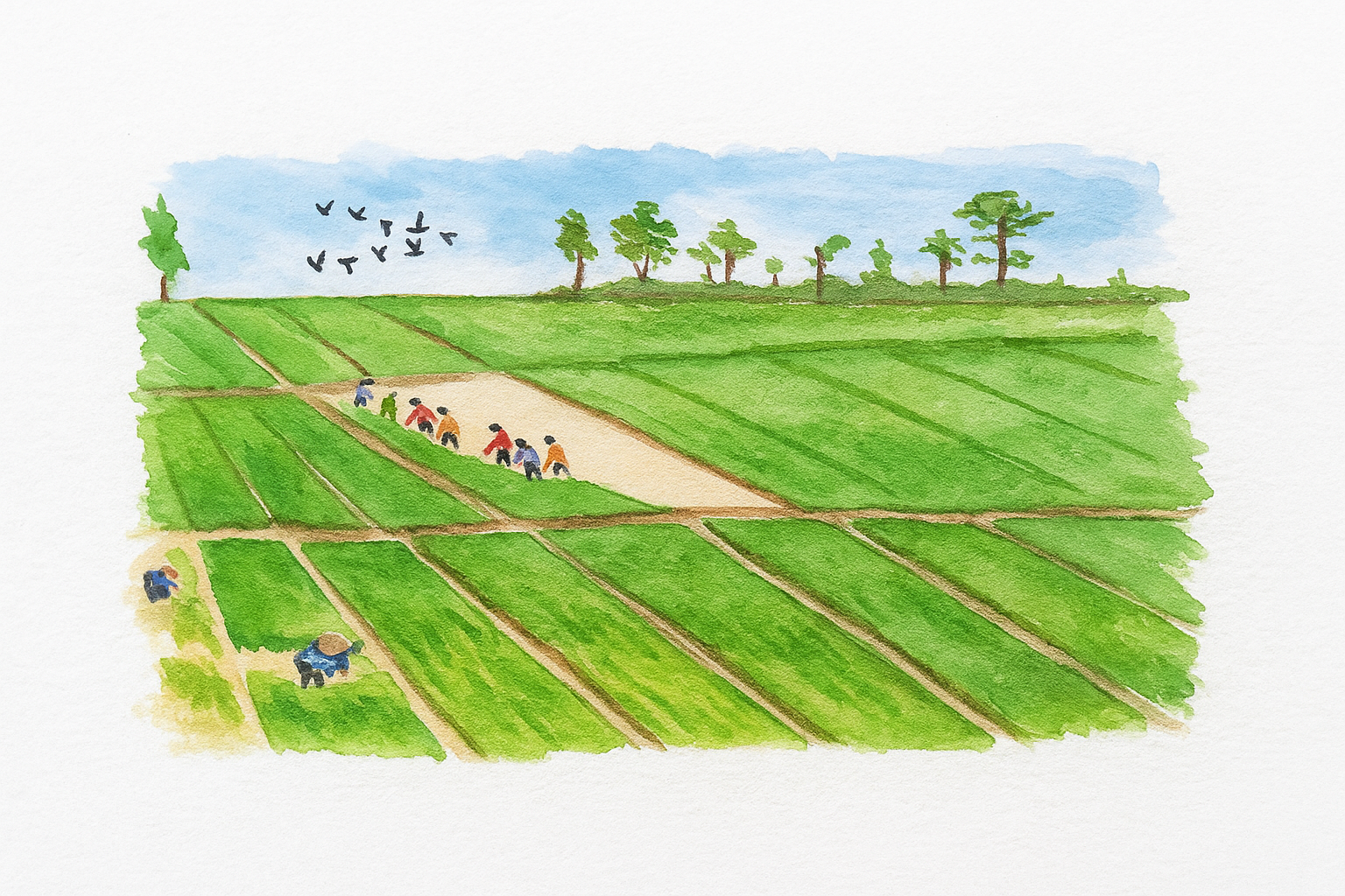 Bài thơ "Mùa xuân nho nhỏ" bắt đầu từ những cảm xúc trực tiếp, hồn nhiên, trong trẻo trước vẻ đẹp và sức sống của mùa xuân thiên nhiên