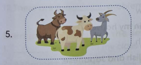 Ảnh 5 - Bài tập số 3