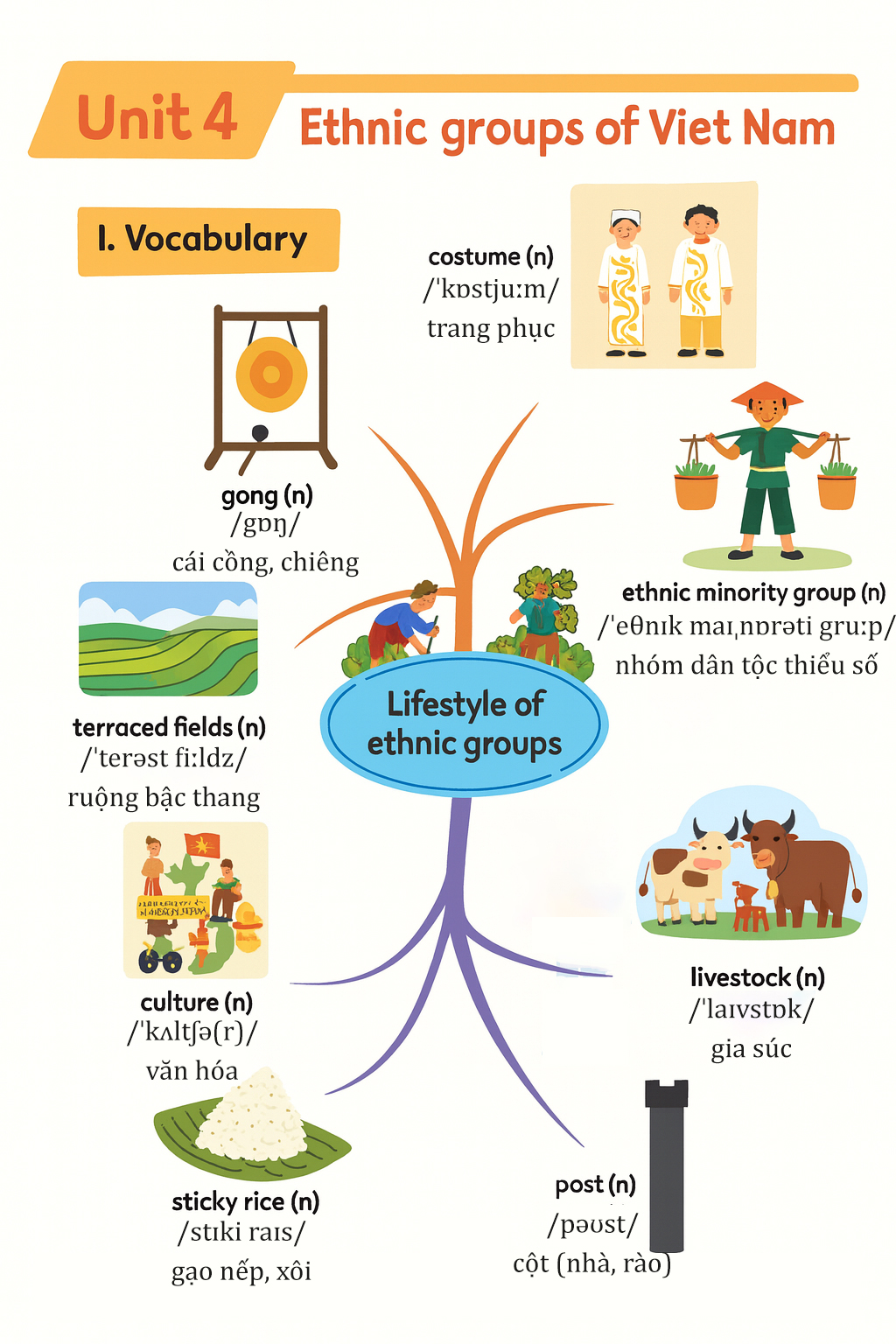Từ vựng tiếng Anh lớp 8 Unit 4 trình bày dưới dạng sơ đồ tư duy