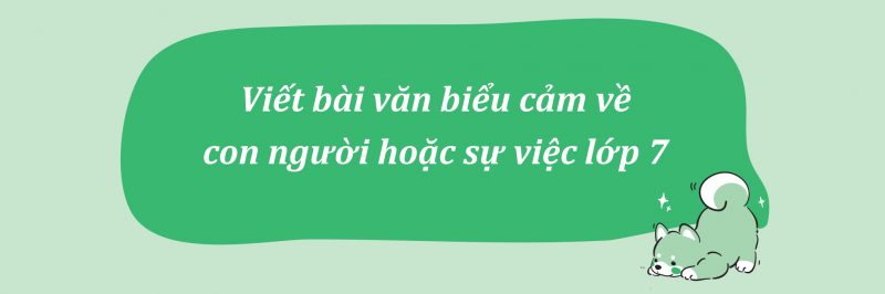 Viết bài văn biểu cảm về con người hoặc sự việc lớp 7 PDF