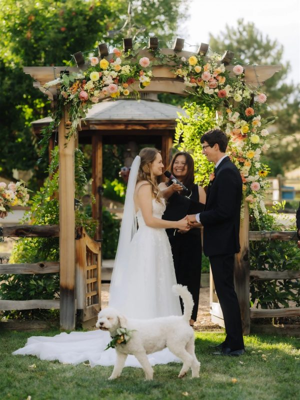 Ảnh 6 - Bài tập số 2