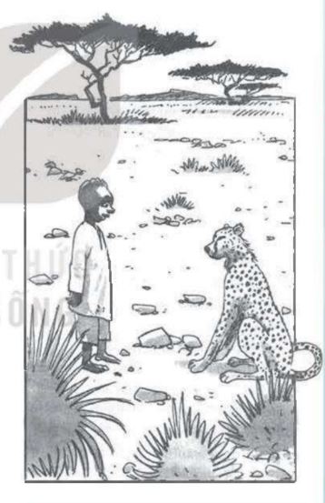 Sói Lam giải cứu Ánh Vàng - hình minh họa